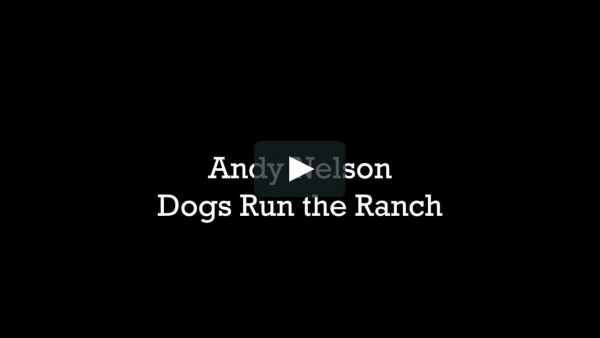 Andy Nelson Dogs Run the Ranch Andy Nelson Dogs Run the Ranch
