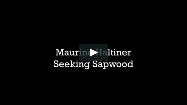 Maurine Haltiner Seeking Sapwood